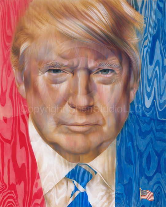 :Against the Grain : A Portrait of President Donald J Trump: